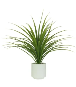 DRACENA 61 FEUILLES H95CM