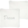 DREAM COUSSIN 45X45CM ARGENT