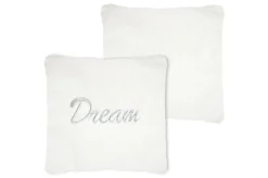 DREAM COUSSIN 45X45CM ARGENT