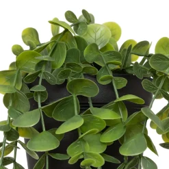 EUCALYPTUS EN POT MERLY H.51CM