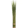 FAGOT HERBE DOMA D.8X79CM