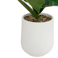 FICUS POT CERAMIQUE STRIE SKY H.145CM