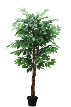FICUS 3 TRONCS 756 FEUILLES POT H.150CM