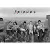 FRIENDS MAXI POSTER 61X91.5CM