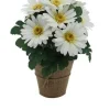GERBERAS EN POT TOILE DE JUTE H32CM