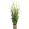 GRAMINEES POT CORDE H65CM