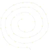 GUIRLANDE 40 MICROLED CHROME BLANC CHAUD