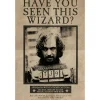 HARRY POTTER SIRIUS BLACK MAXI POSTER 61X91.5CM