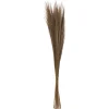 HERBES SECHEES ORIGINES H.110CM
