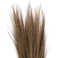 HERBES SECHEES ORIGINES H.110CM