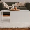 IMAGE TABLE BASSE BLANC 100X40X60CM
