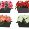JARDINIERE 14 ROSES ET PETITES SUCCULENTES H.16CM 4 COULEURS