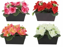 JARDINIERE 14 ROSES ET PETITES SUCCULENTES H.16CM 4 COULEURS