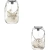 LANTERNE LED FLEURS SECHEES D.17X28CM