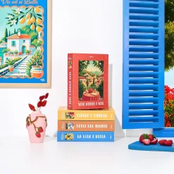 LIVRE RANGEMENT DECO GIORNI FELICI 22X17CM