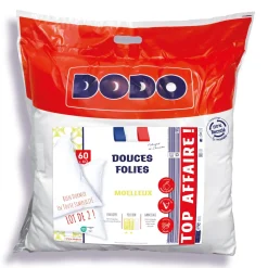 LOT 2 OREILLERS 60X60CM MOELLEUX