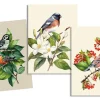 LYDIA OISEAU TORCHON 50X70CM MULTICOLORE