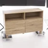 MEUBLE TV 2 PORTES NATUREL MIXUP