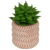 MINI PLANTE GRASSE POT CIMENT UBI H.7CM