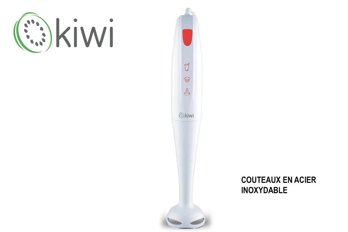 MIXEUR PLONGEANT 200W