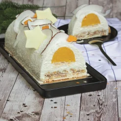 MOULE INSERT BUCHE