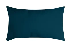 NELSON COUSSIN 30X50CM CANARD