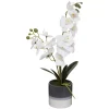 ORCHIDEE POT CERAMIQUE REACTIVE H.45CM