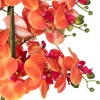 ORCHIDEE POT CIMENT SANAE ORANGE H.65CM