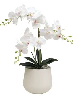 ORCHIDEES 3 BRANCHES EN POT H60CM BLANC