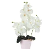 ORCHIDEES 13 FLEURS POT PLASTIQUE H.44CM