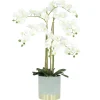 ORCHIDEES GEANTES TOUCHER NATUREL X6 BRANCHES GRIS OR H.80CM