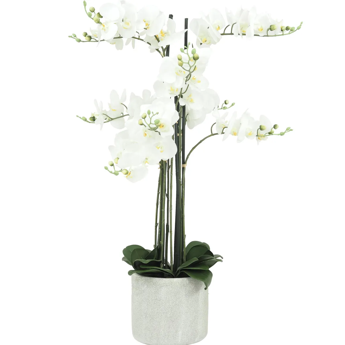 ORCHIDEES GEANTES X9 BRANCHES FLEURS TOUCHER NATUREL H.105CM