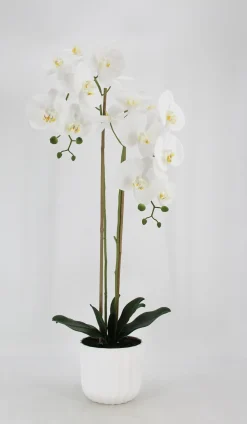 ORCHIDEE TOUCHER NATUREL 16 FLEURS POT PLASTIQUE H.100CM