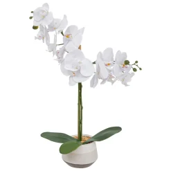 ORCHIDE POT CERAMIQUE CLERA H.52CM