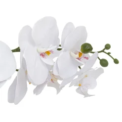 ORCHIDE POT CERAMIQUE CLERA H.52CM