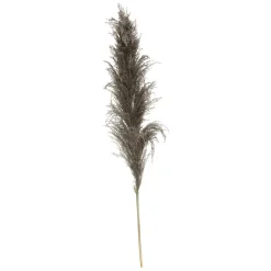 PAMPA NATUREL BRUNE X3 PIECES H.110CM