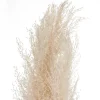 PAMPA NATUREL X3 PIECES H.110CM