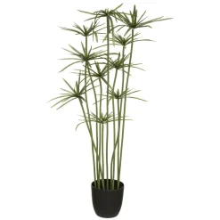 PAPYRUS H.120CM