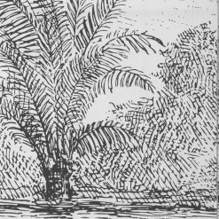 PARAVENT IMPRIME CUBA