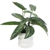 PHILO H60CM ET TARO H50CM EN POT CERAMIQUE DECO BLANC