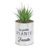 PLANTE ARTIFICIELLE SUCCULENTE POT METAL H12.5CM