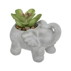 PLANTE CIMENT ELEPHANT H.10CM