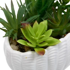 PLANTE COQUILLAGE OCEA H.20CM