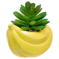 PLANTE FRUITY H.11CM