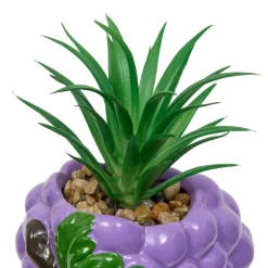 PLANTE FRUITY H.11CM
