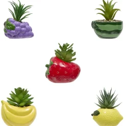 PLANTE FRUITY H.11CM