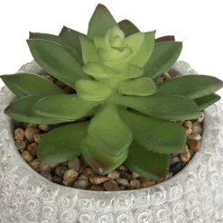 PLANTE GRASSE BOUDDHA CIMENT VIA H.13CM