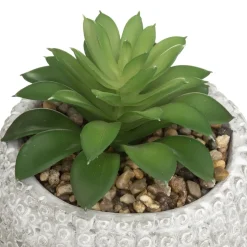 PLANTE GRASSE BOUDDHA CIMENT VIA H.13CM