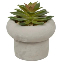 PLANTE GRASSE CIMENT STEFI H.15CM