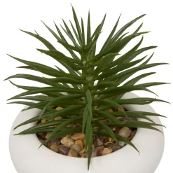 PLANTE GRASSE CIMENT STEFI H.15CM
